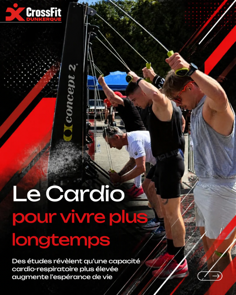 Page Web Style & Color Update - 2